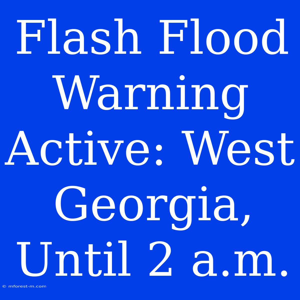 Flash Flood Warning Active: West Georgia, Until 2 A.m.