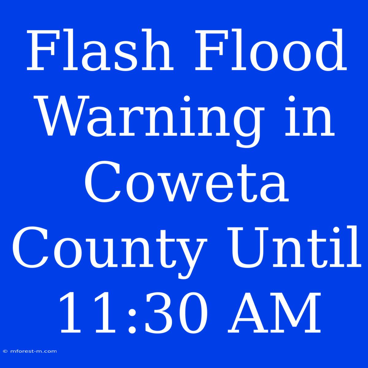 Flash Flood Warning In Coweta County Until 11:30 AM