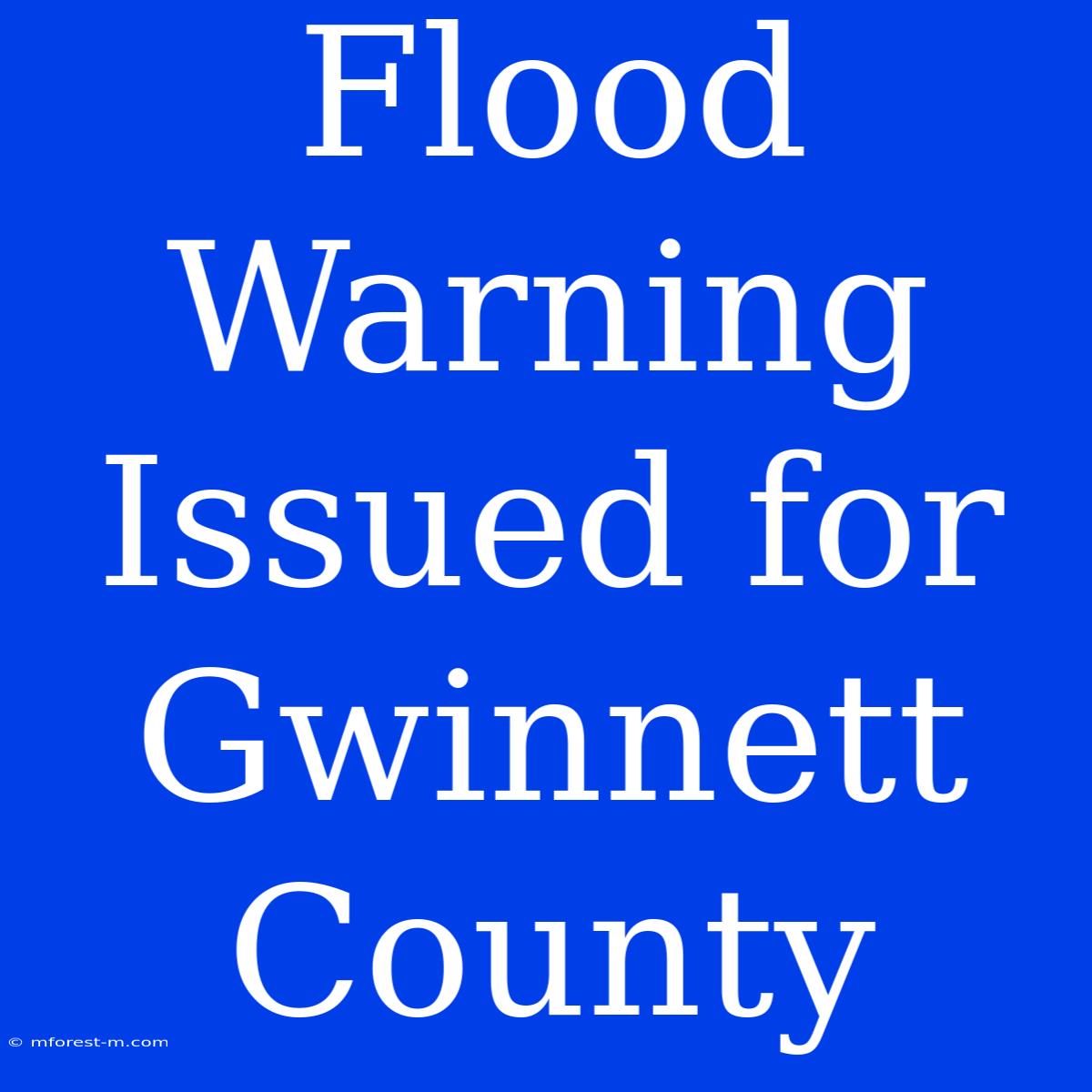 Flood Warning Issued For Gwinnett County