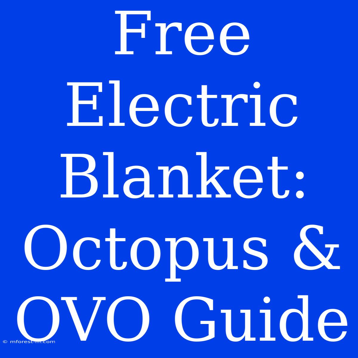 Free Electric Blanket: Octopus & OVO Guide