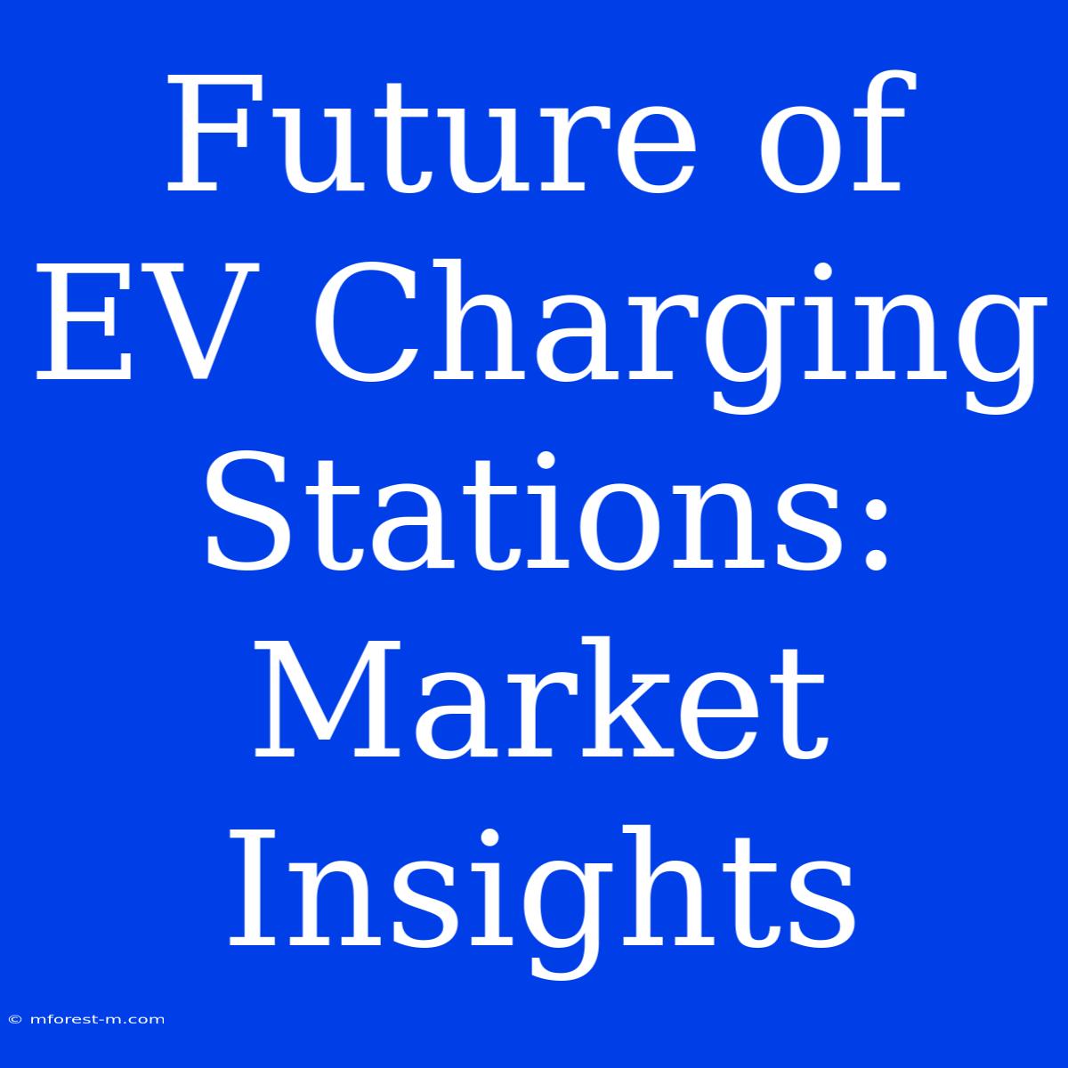 Future Of EV Charging Stations: Market Insights