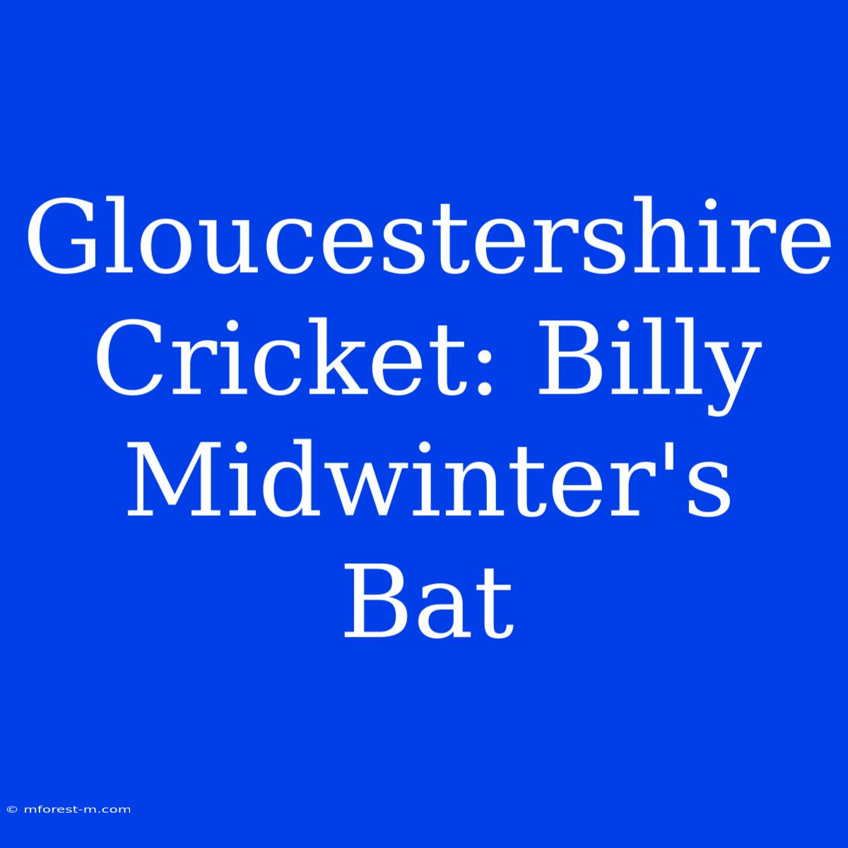 Gloucestershire Cricket: Billy Midwinter's Bat 