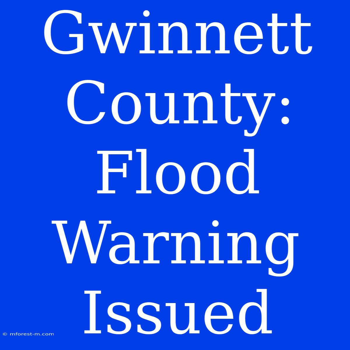 Gwinnett County: Flood Warning Issued 