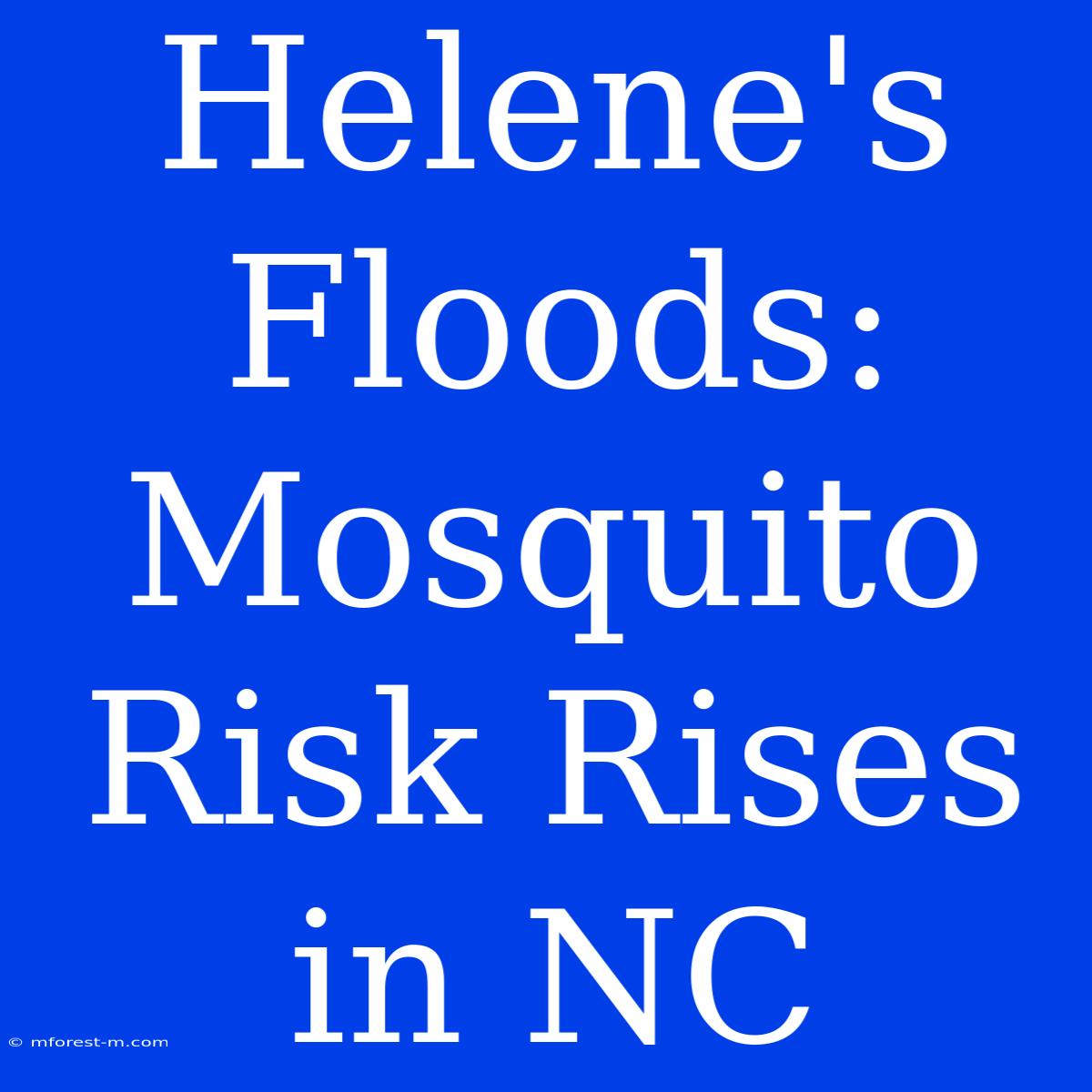 Helene's Floods: Mosquito Risk Rises In NC