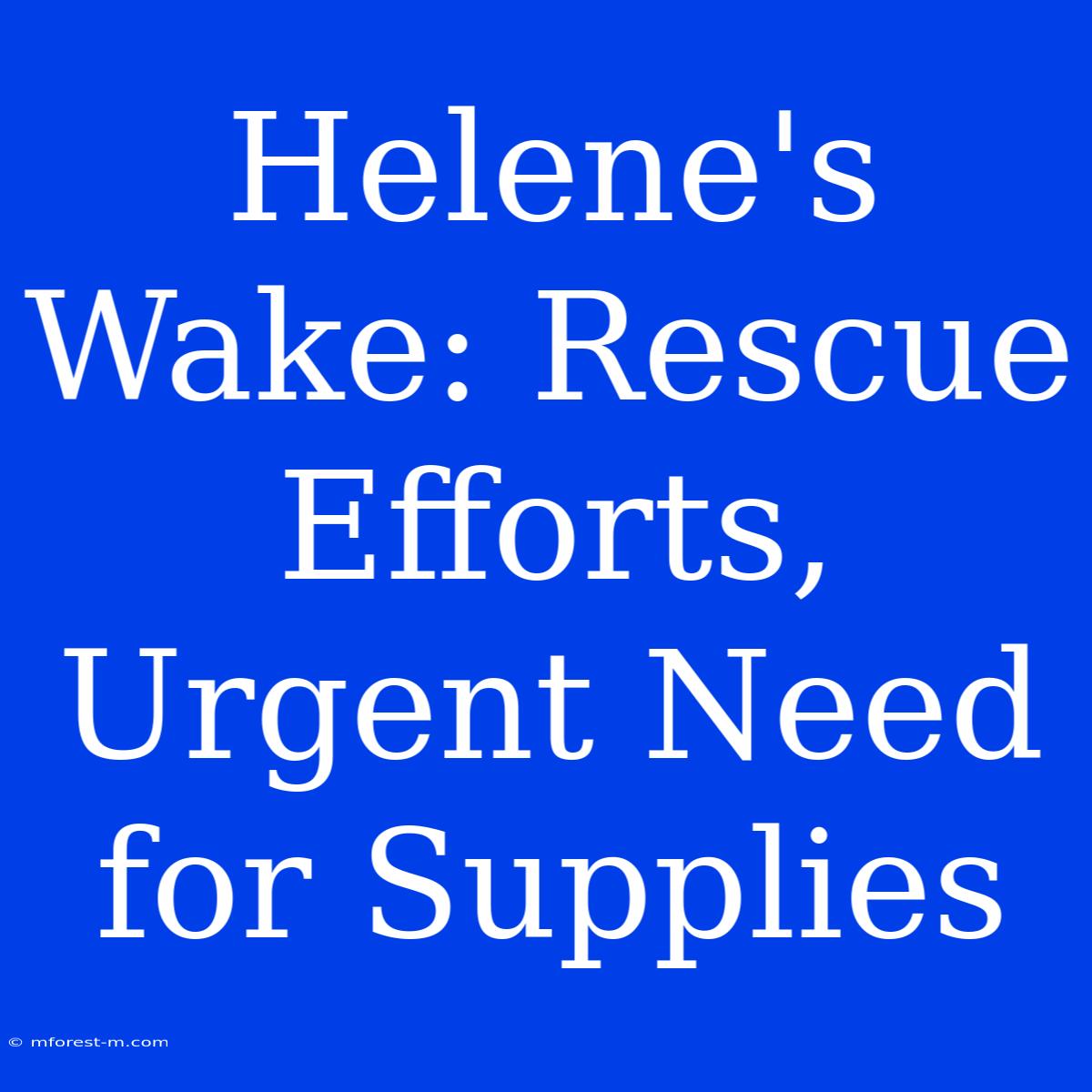 Helene's Wake: Rescue Efforts, Urgent Need For Supplies