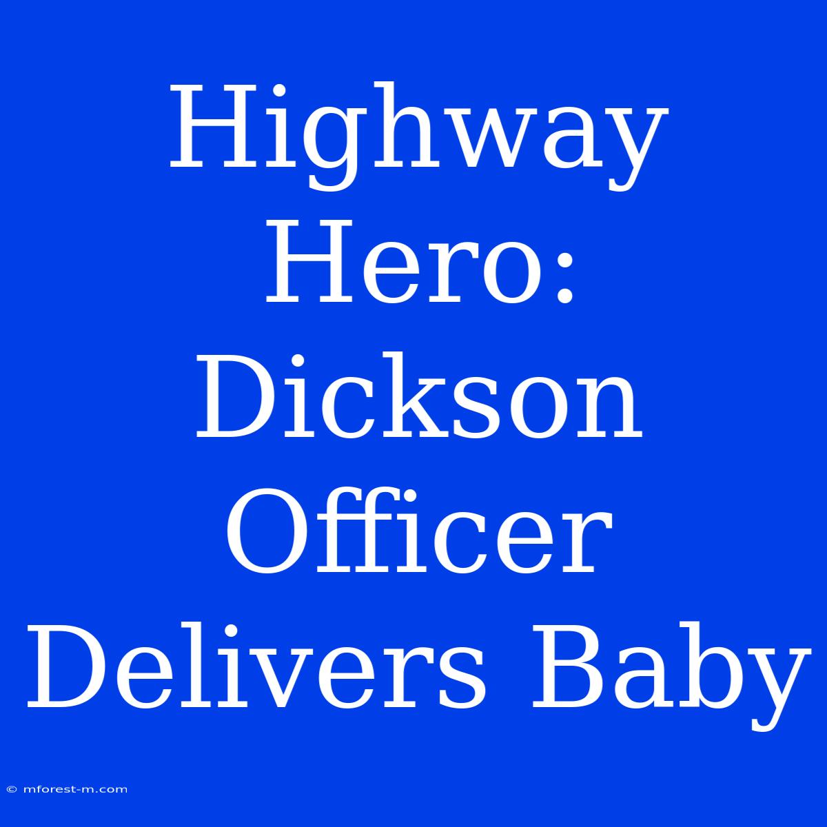 Highway Hero: Dickson Officer Delivers Baby