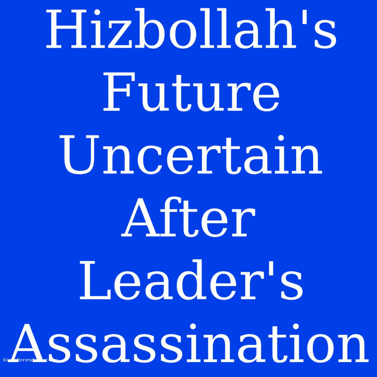 Hizbollah's Future Uncertain After Leader's Assassination