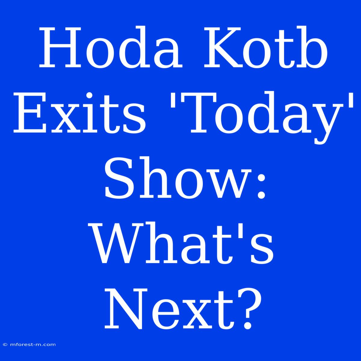 Hoda Kotb Exits 'Today' Show: What's Next?