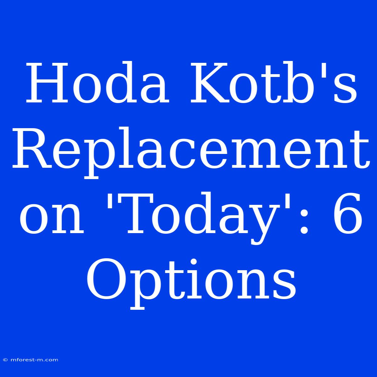 Hoda Kotb's Replacement On 'Today': 6 Options 