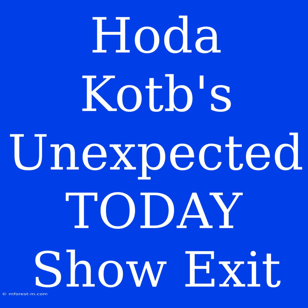 Hoda Kotb's Unexpected TODAY Show Exit 