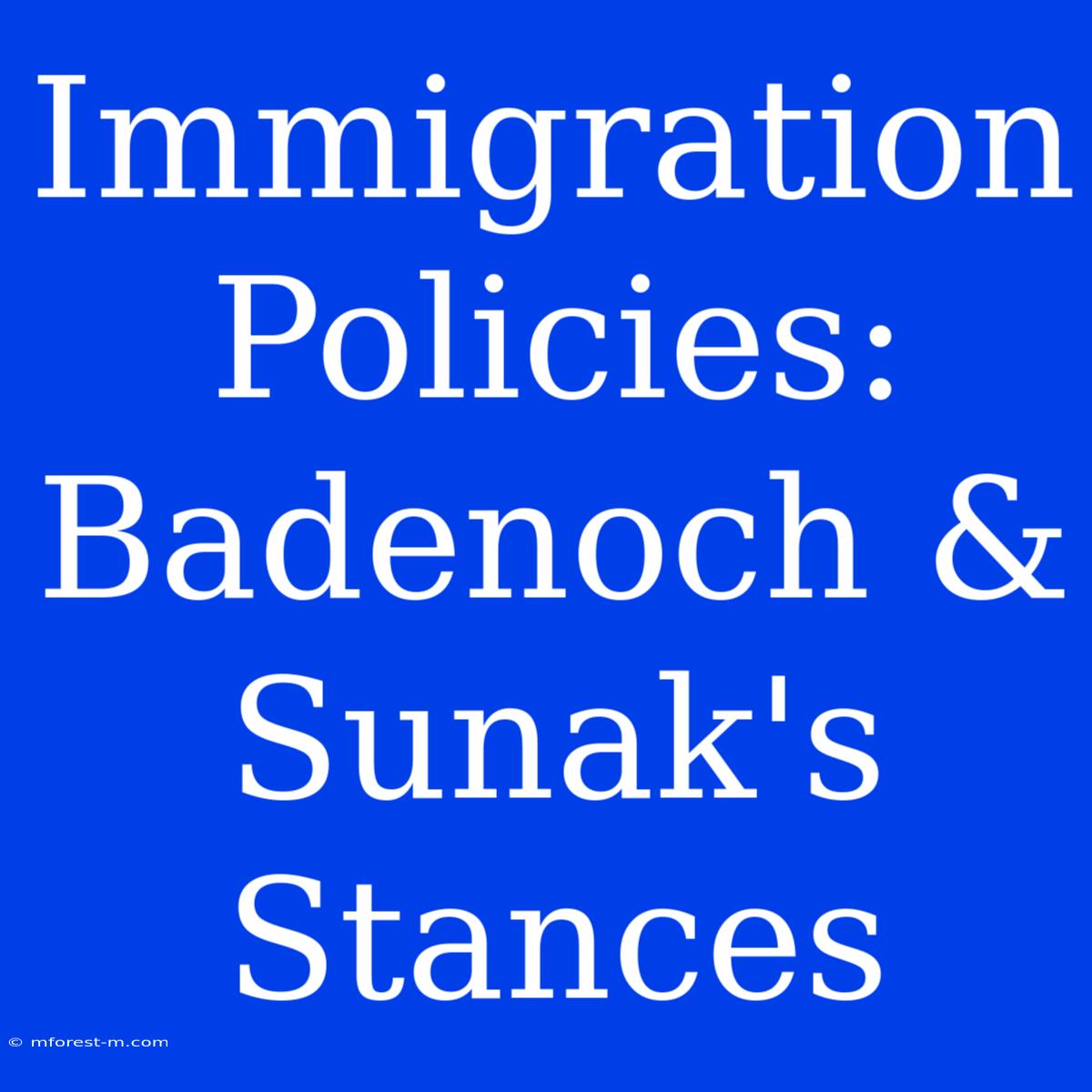 Immigration Policies: Badenoch & Sunak's Stances