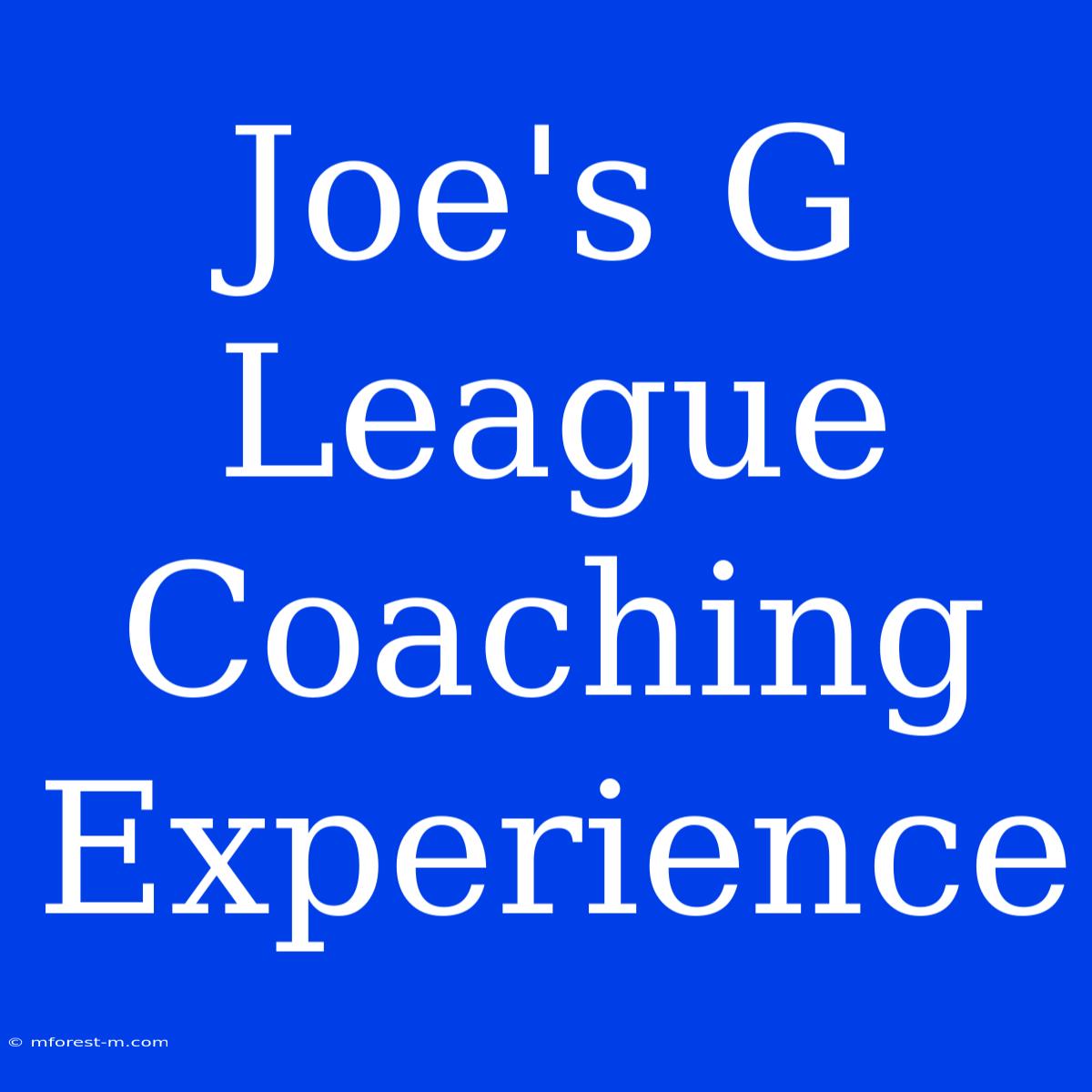 Joe's G League Coaching Experience 