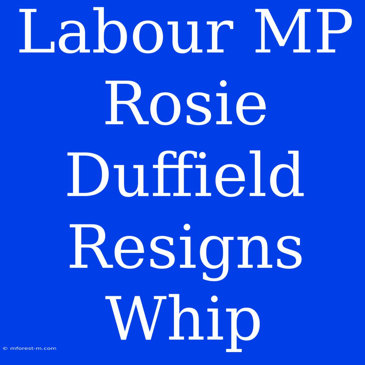 Labour MP Rosie Duffield Resigns Whip