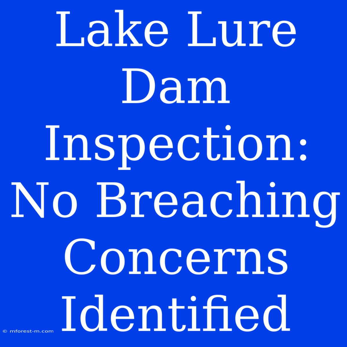 Lake Lure Dam Inspection: No Breaching Concerns Identified