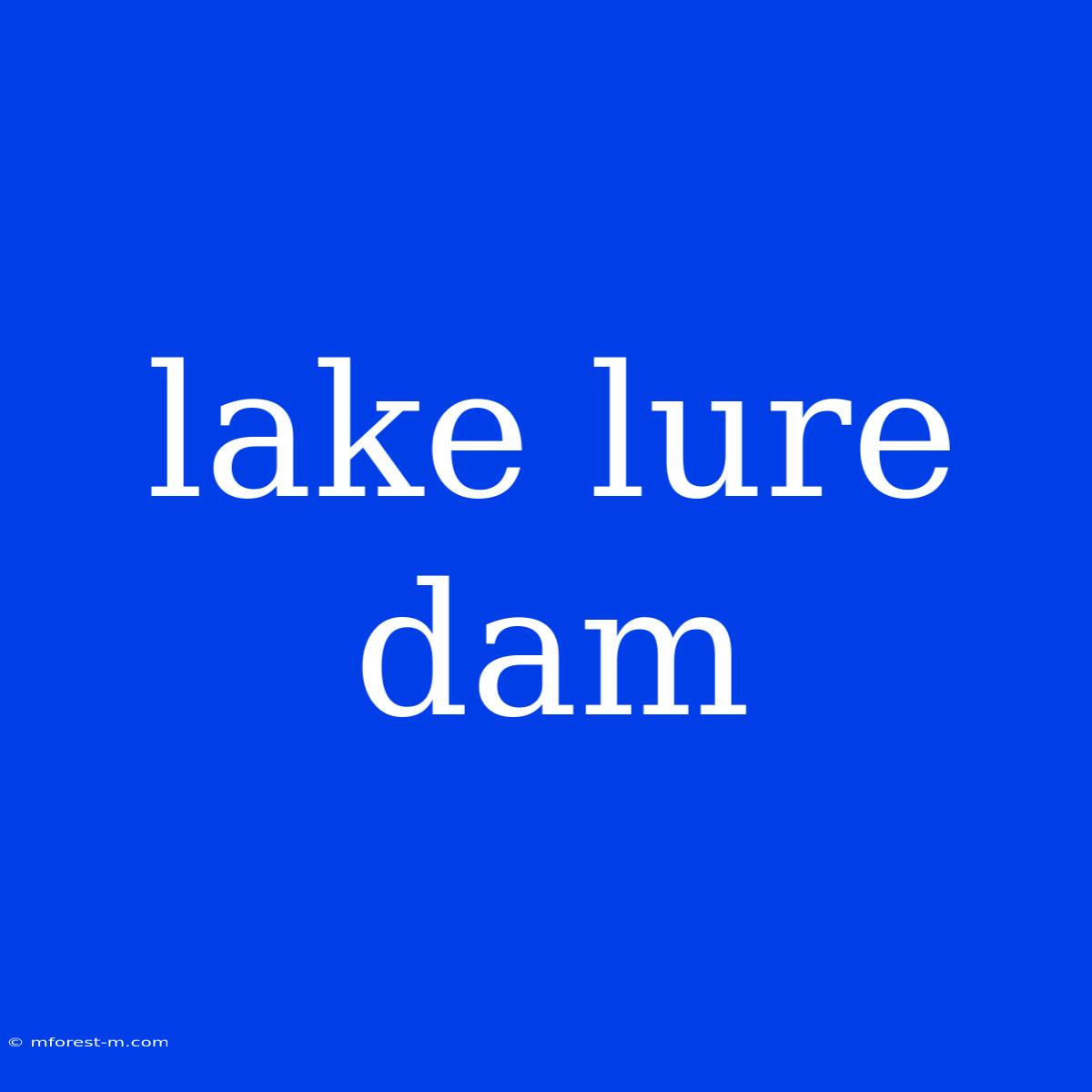 Lake Lure Dam