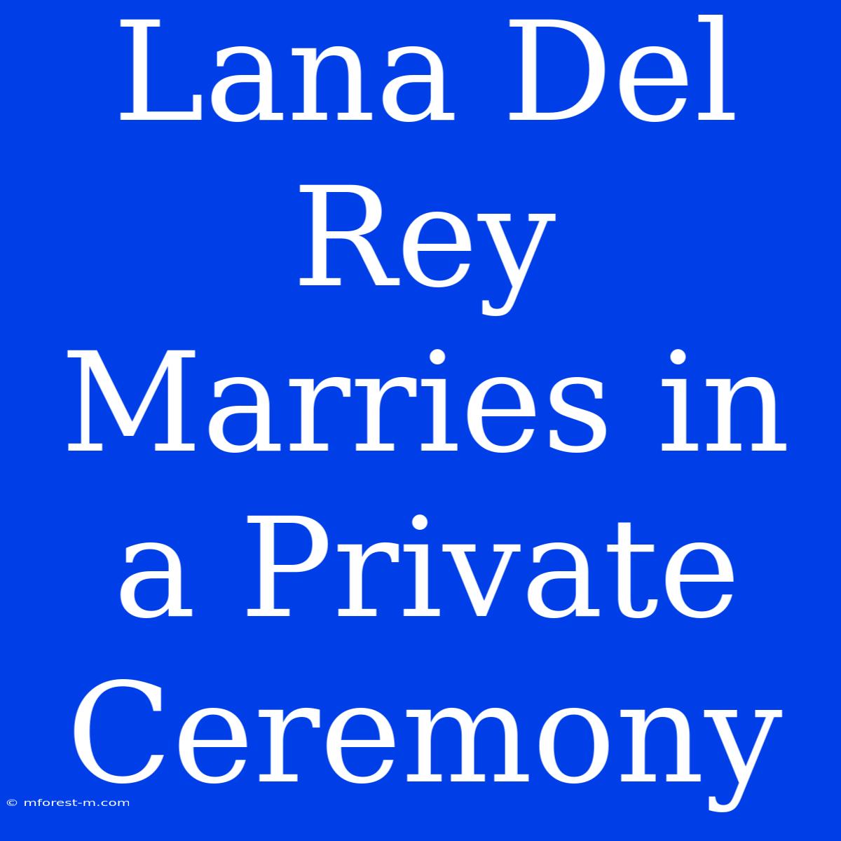 Lana Del Rey Marries In A Private Ceremony 