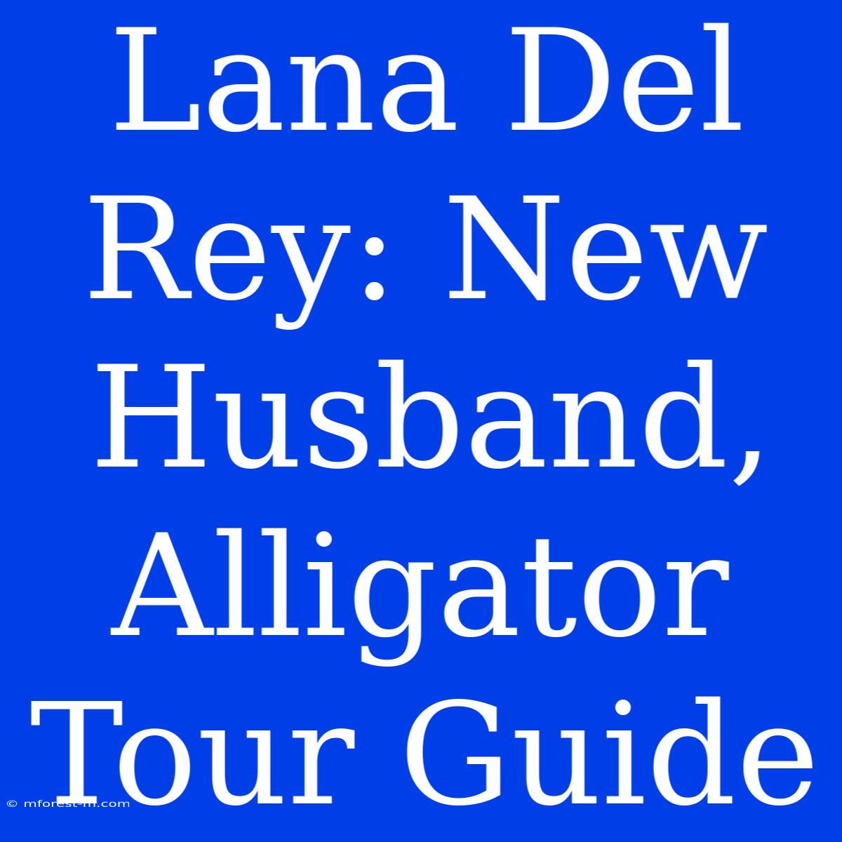 Lana Del Rey: New Husband, Alligator Tour Guide