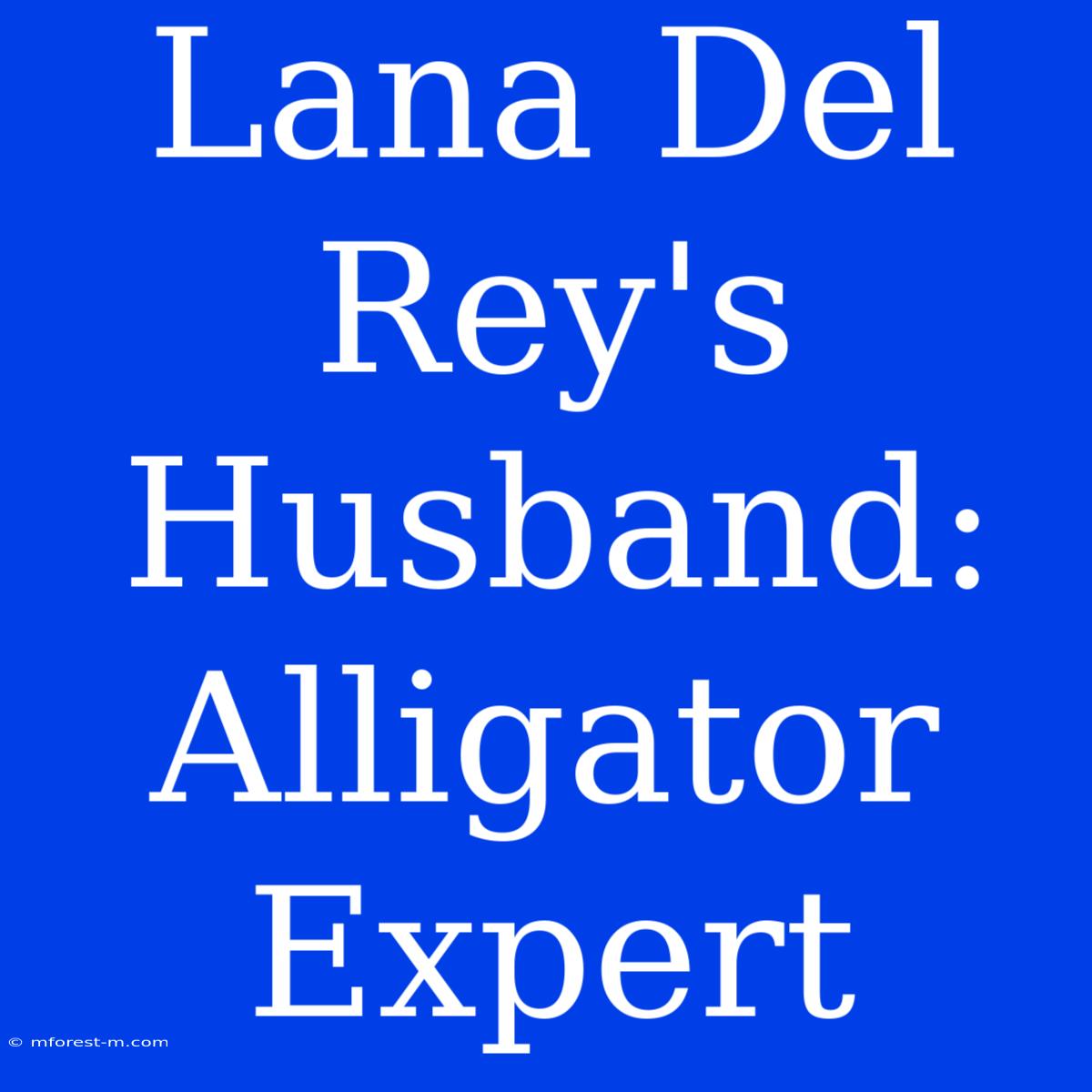 Lana Del Rey's Husband: Alligator Expert