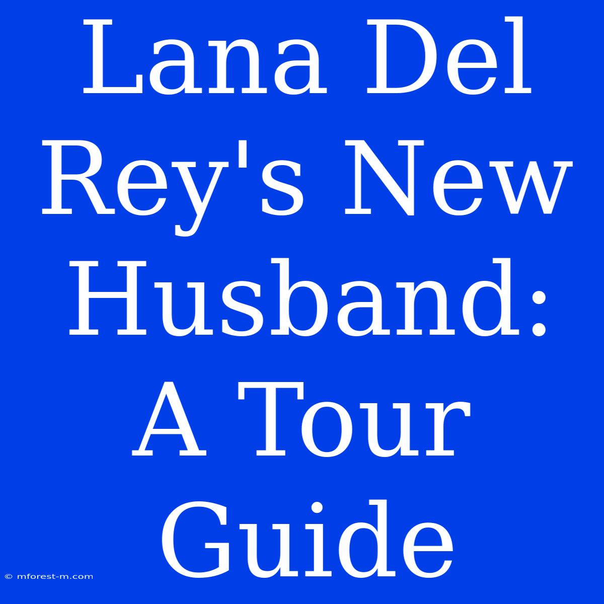 Lana Del Rey's New Husband: A Tour Guide