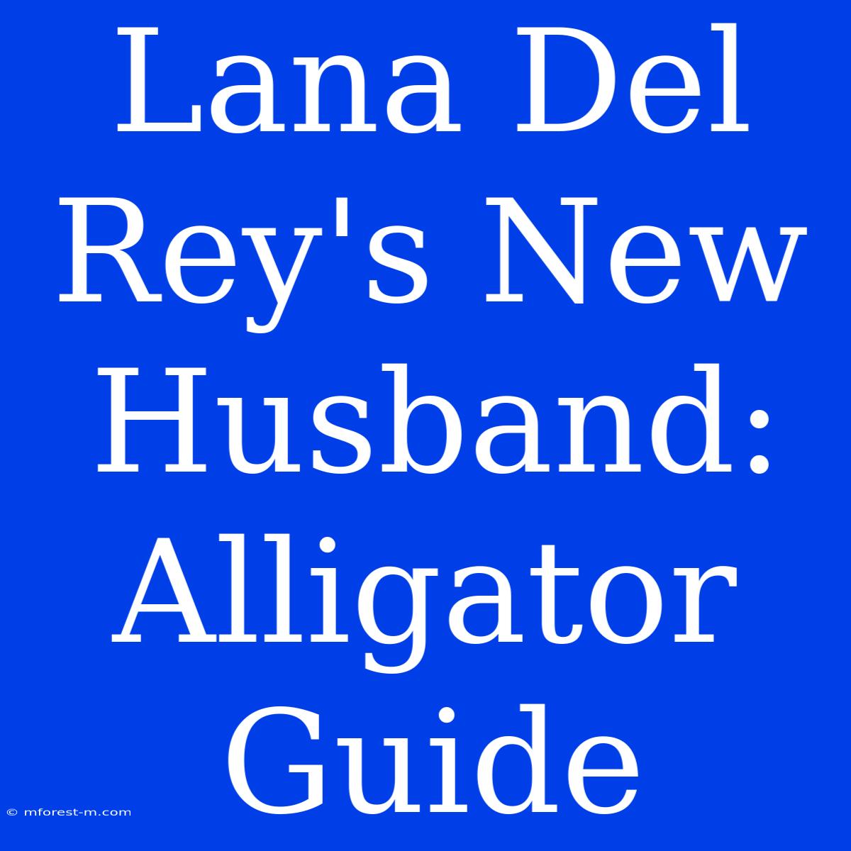 Lana Del Rey's New Husband: Alligator Guide