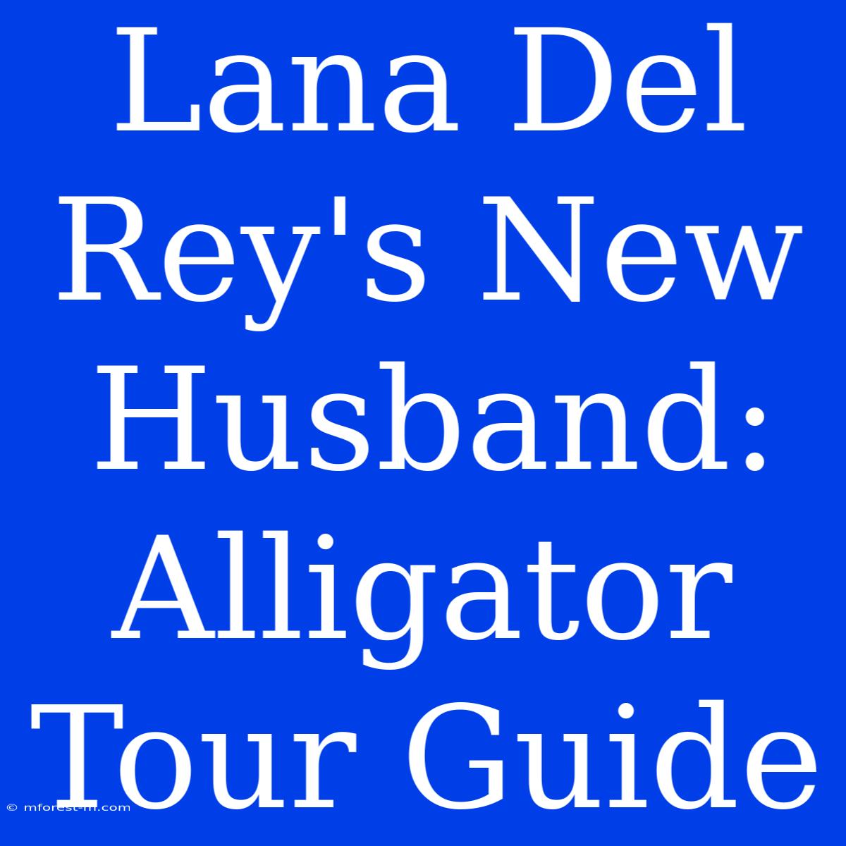 Lana Del Rey's New Husband: Alligator Tour Guide 