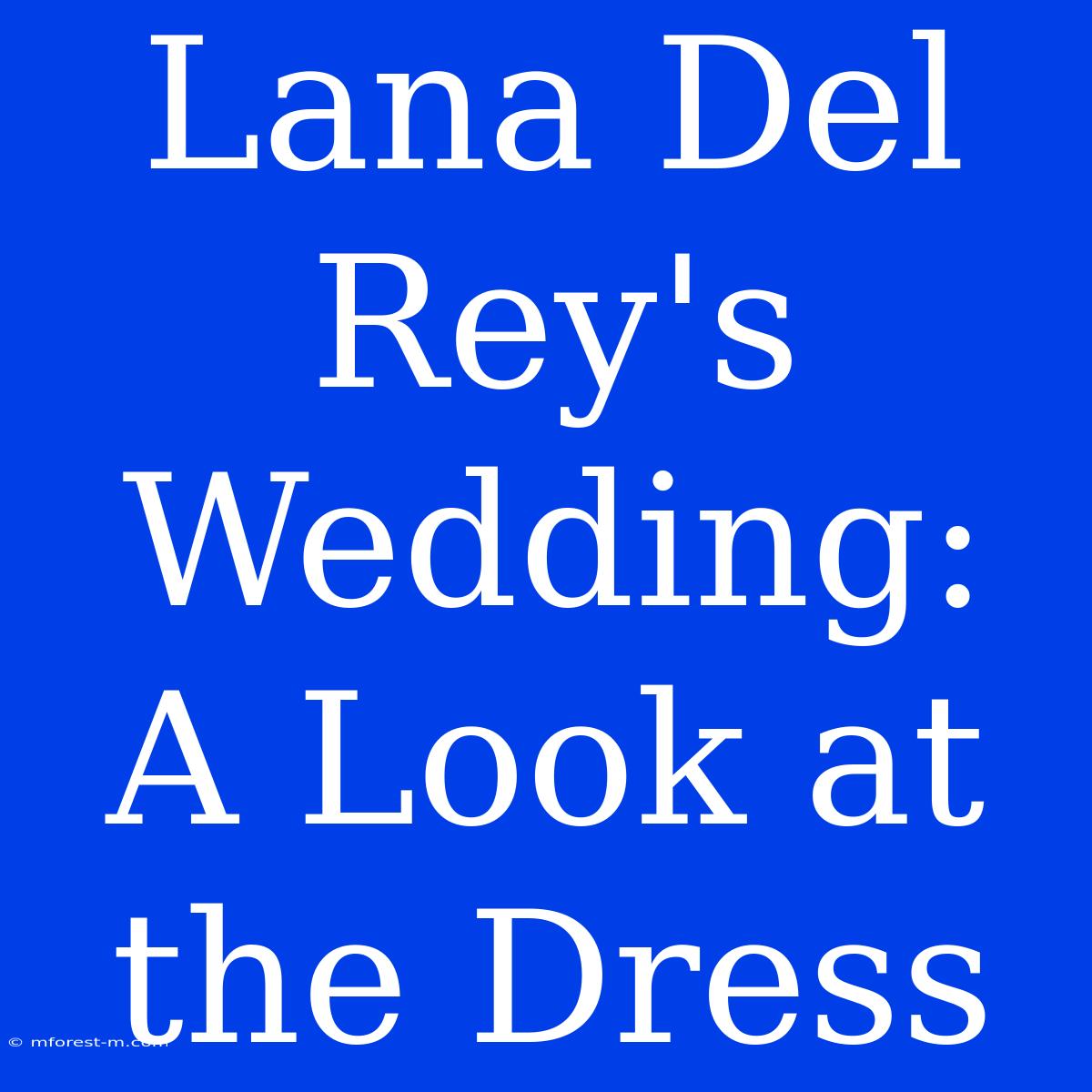 Lana Del Rey's Wedding: A Look At The Dress