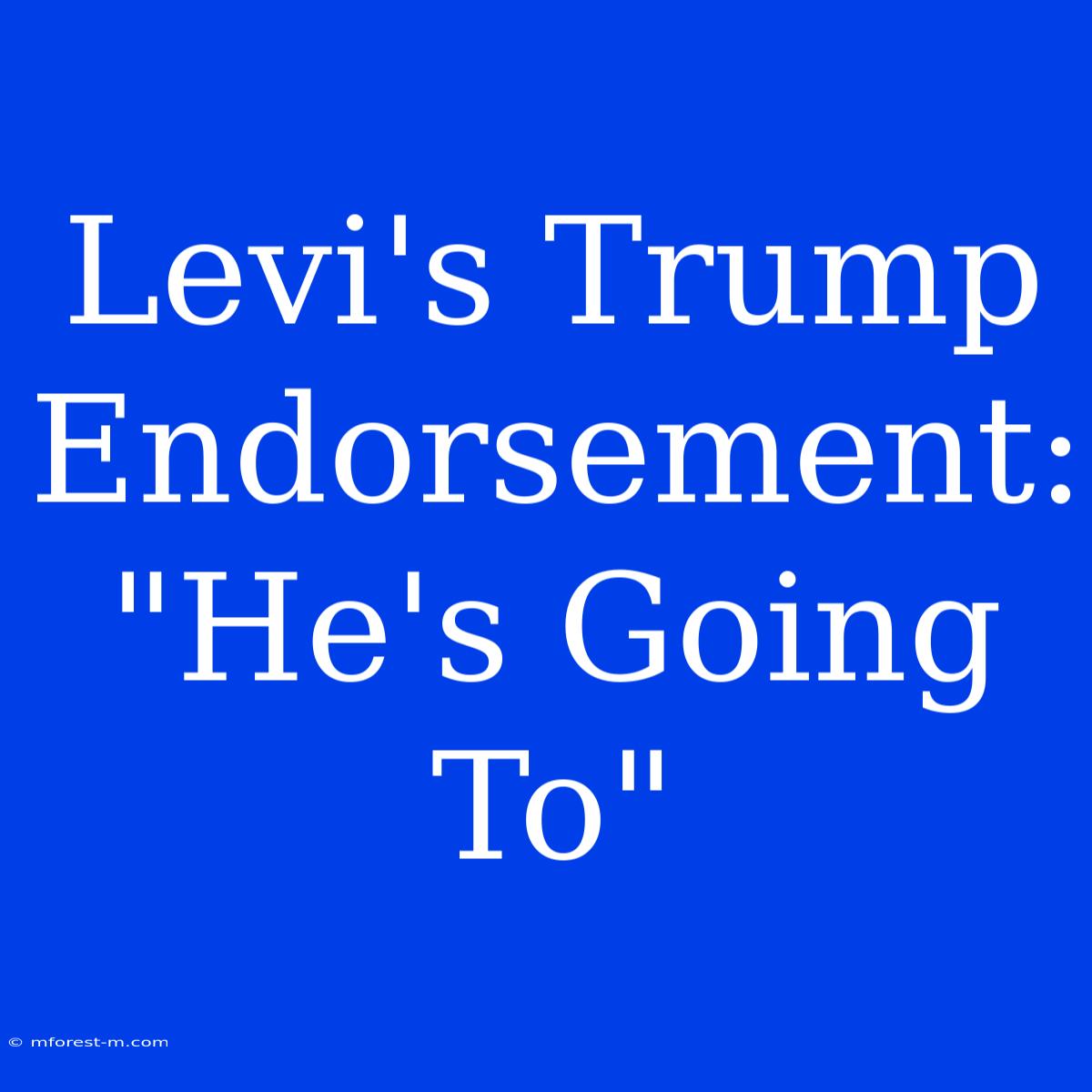 Levi's Trump Endorsement: 