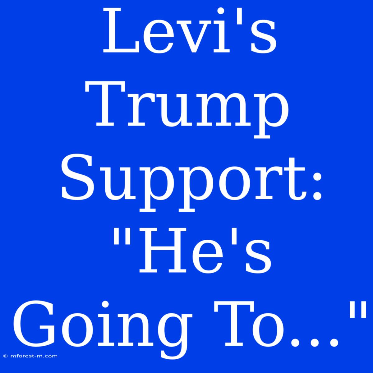 Levi's Trump Support: 