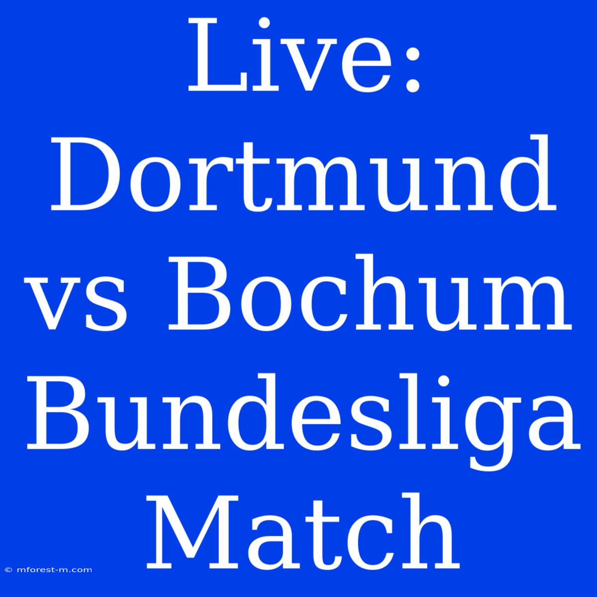 Live: Dortmund Vs Bochum Bundesliga Match