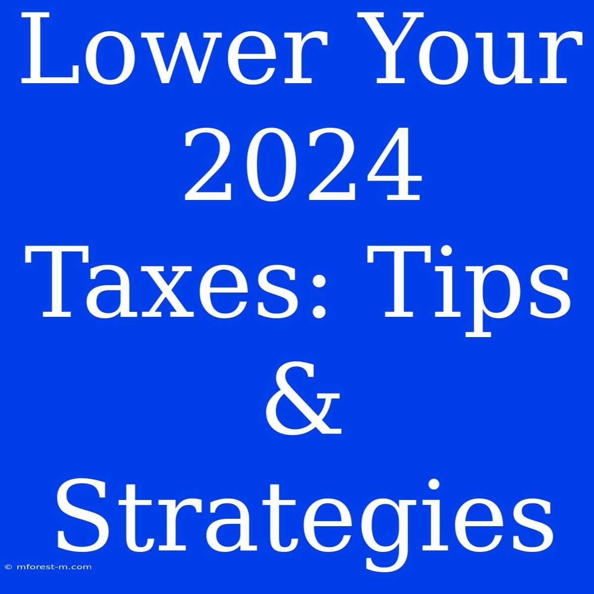 Lower Your 2024 Taxes: Tips & Strategies