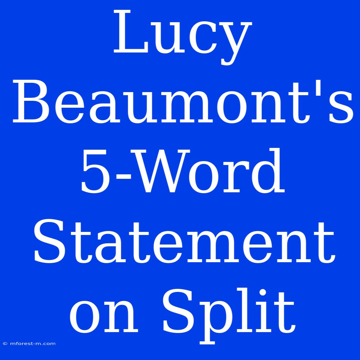 Lucy Beaumont's 5-Word Statement On Split