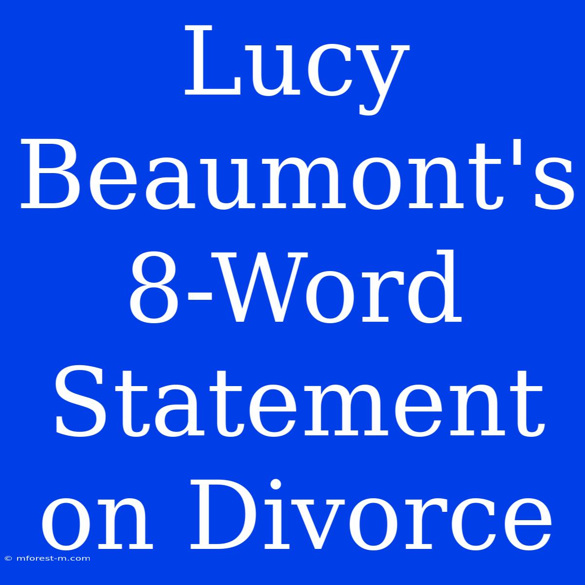 Lucy Beaumont's 8-Word Statement On Divorce