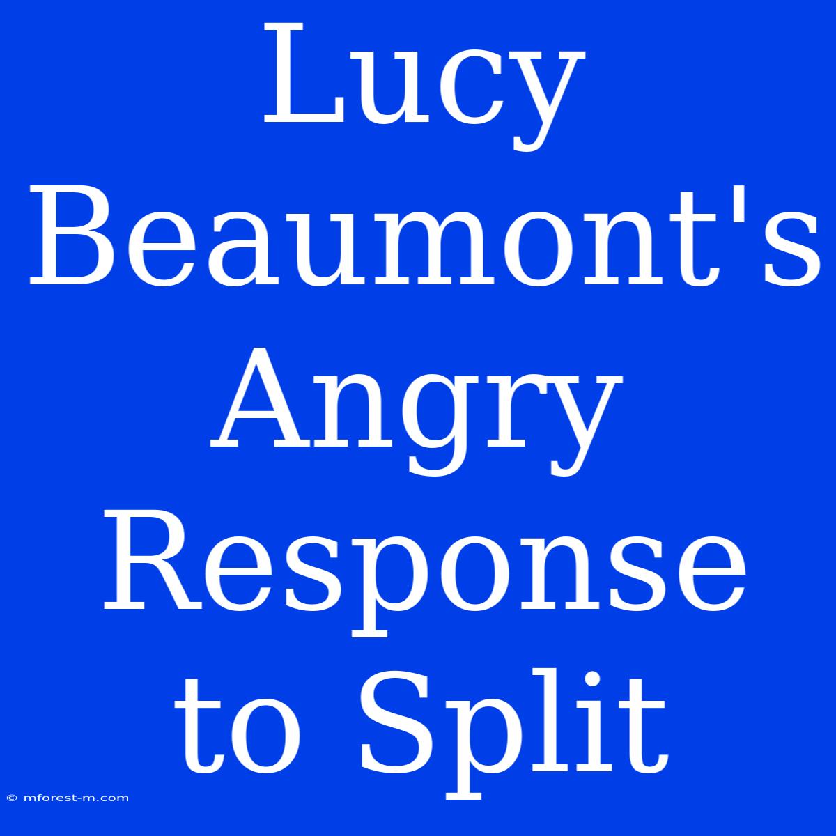 Lucy Beaumont's Angry Response To Split