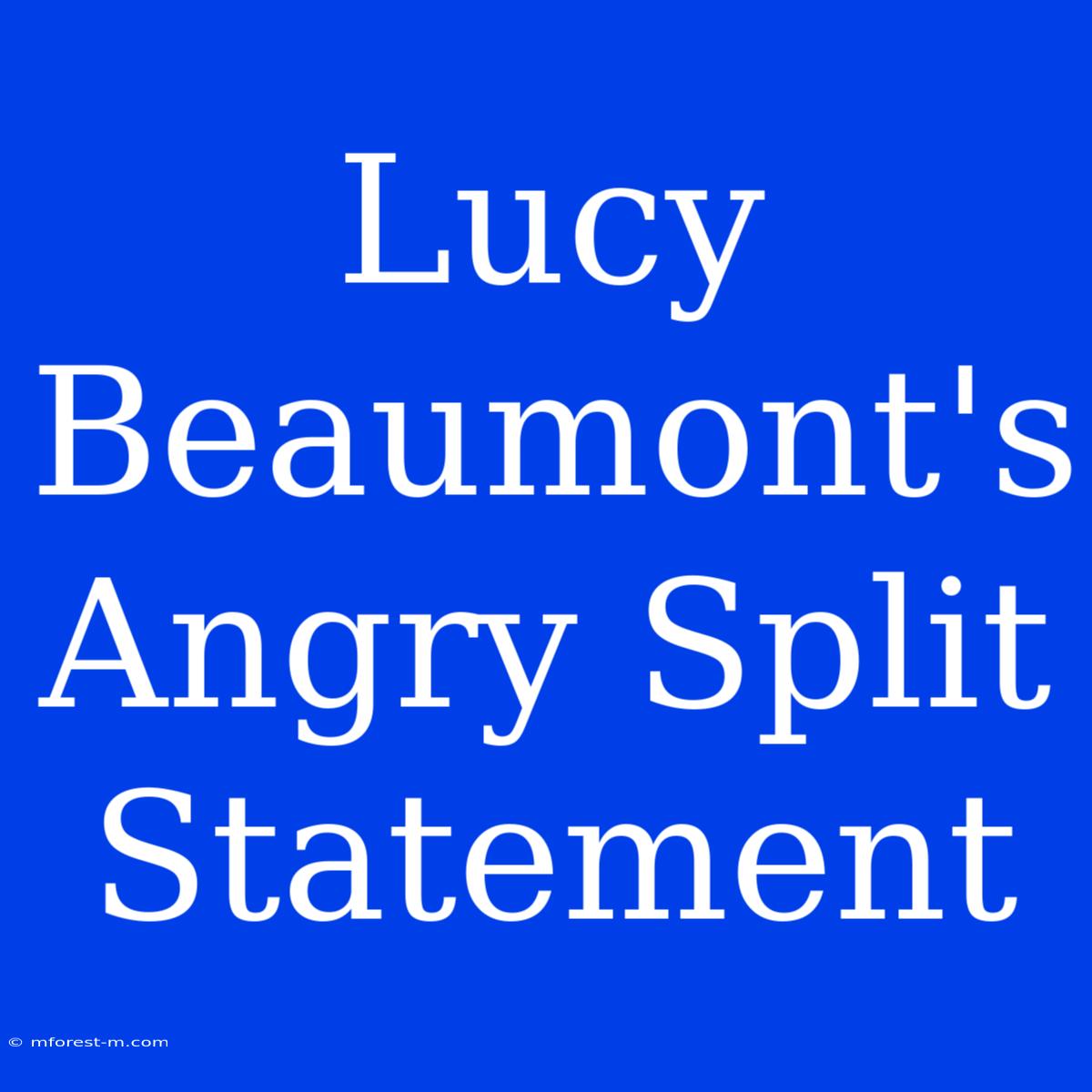 Lucy Beaumont's Angry Split Statement