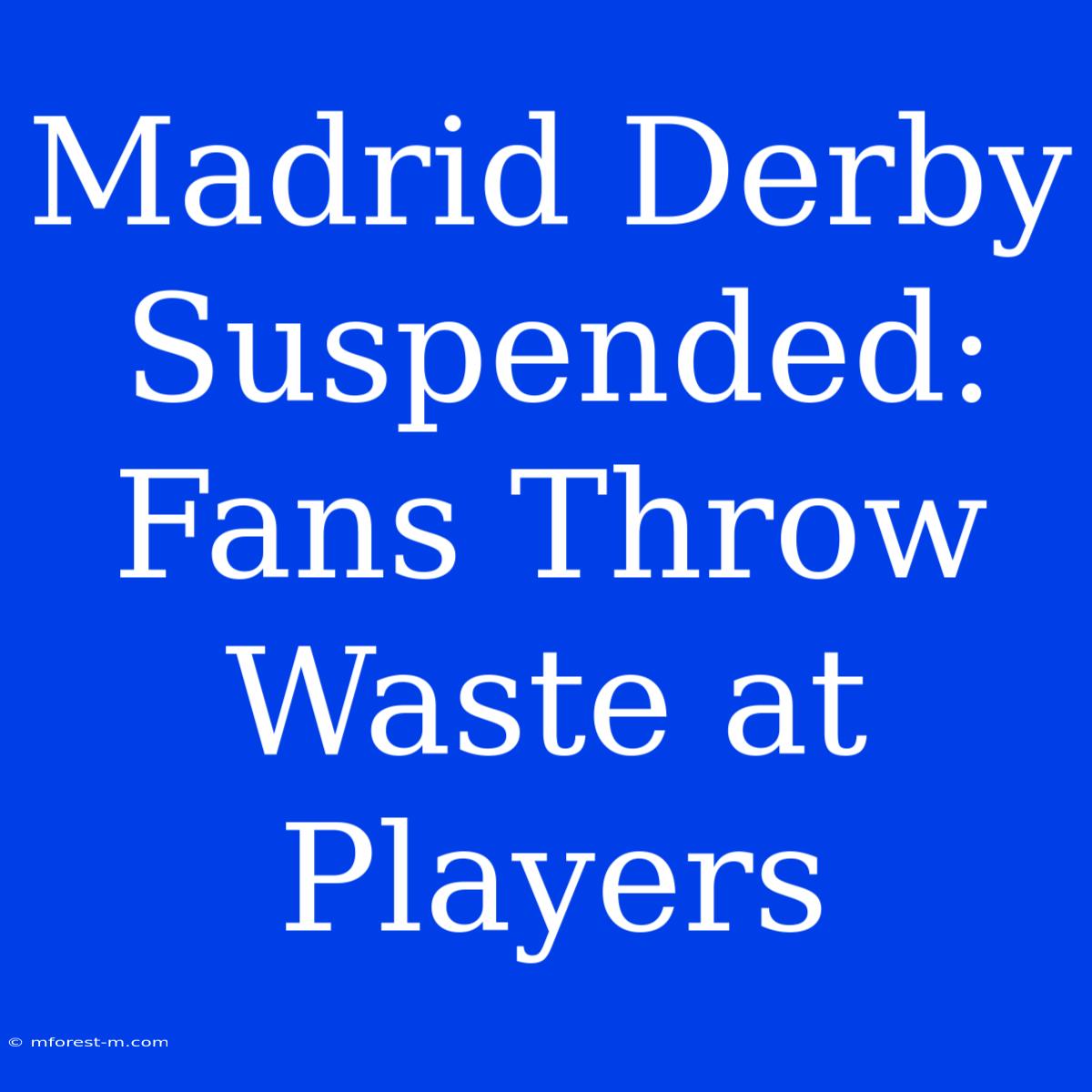 Madrid Derby Suspended:  Fans Throw Waste At Players