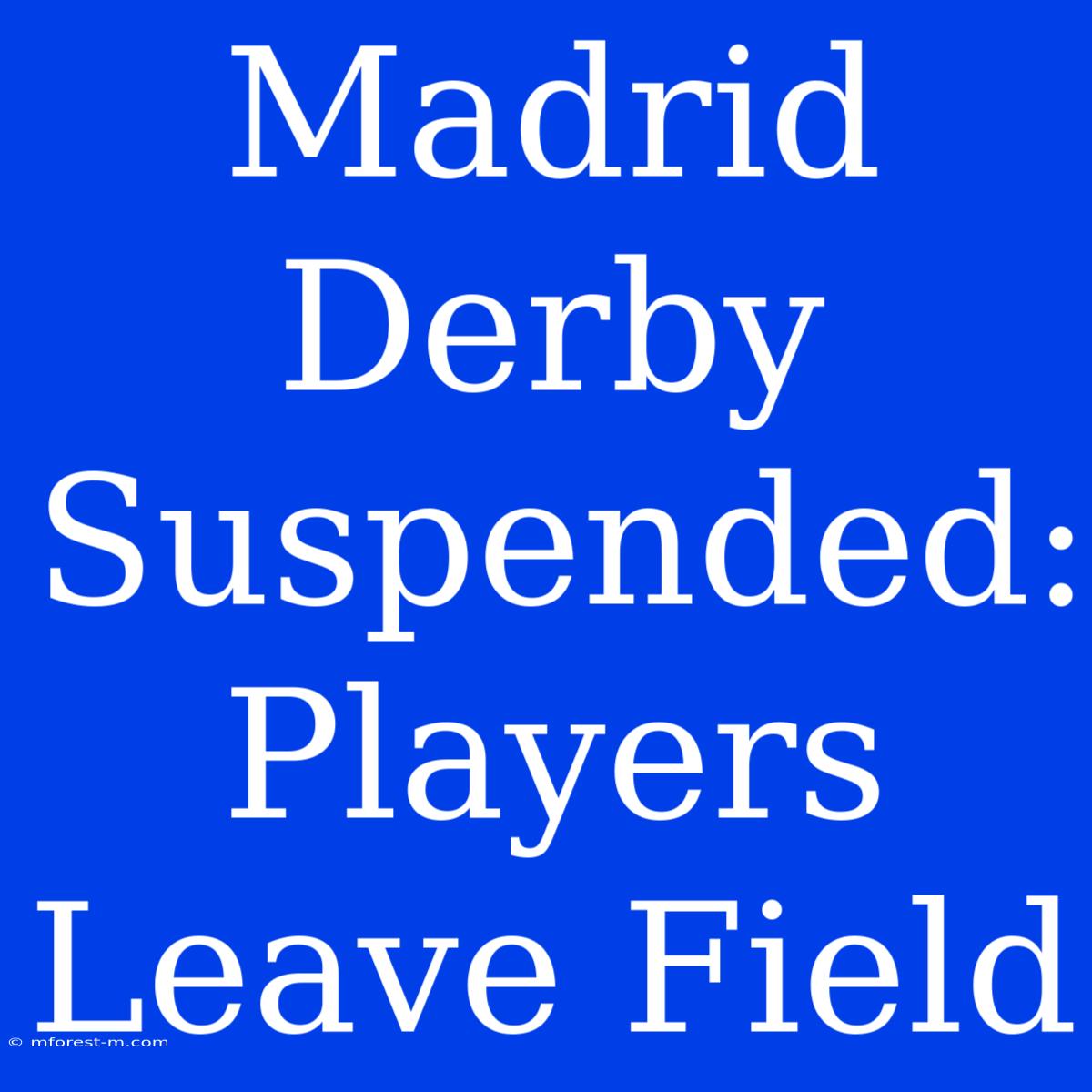 Madrid Derby Suspended: Players Leave Field