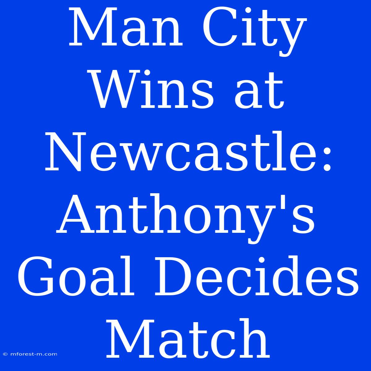 Man City Wins At Newcastle: Anthony's Goal Decides Match