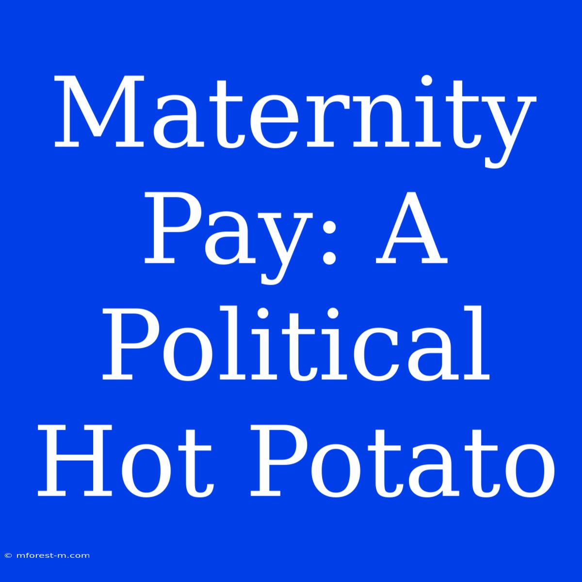 Maternity Pay: A Political Hot Potato