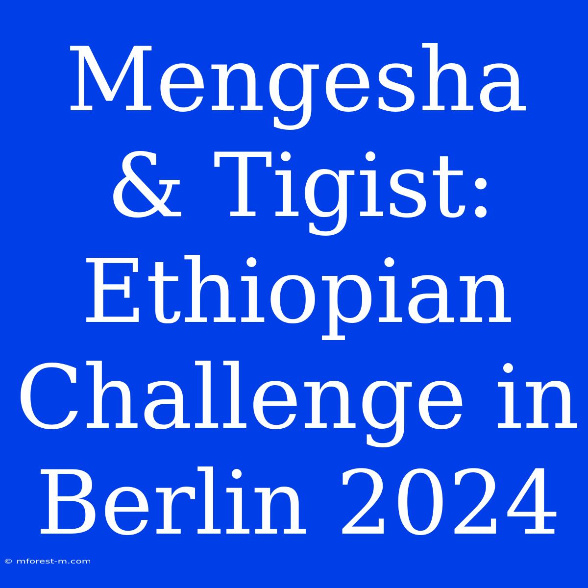 Mengesha & Tigist: Ethiopian Challenge In Berlin 2024