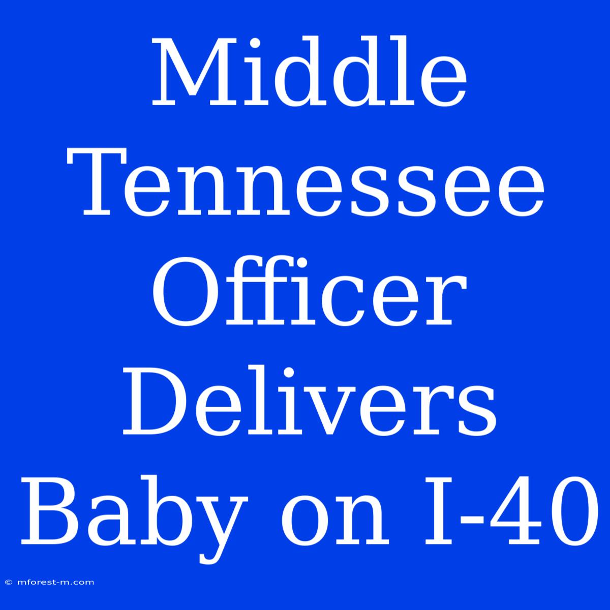 Middle Tennessee Officer Delivers Baby On I-40