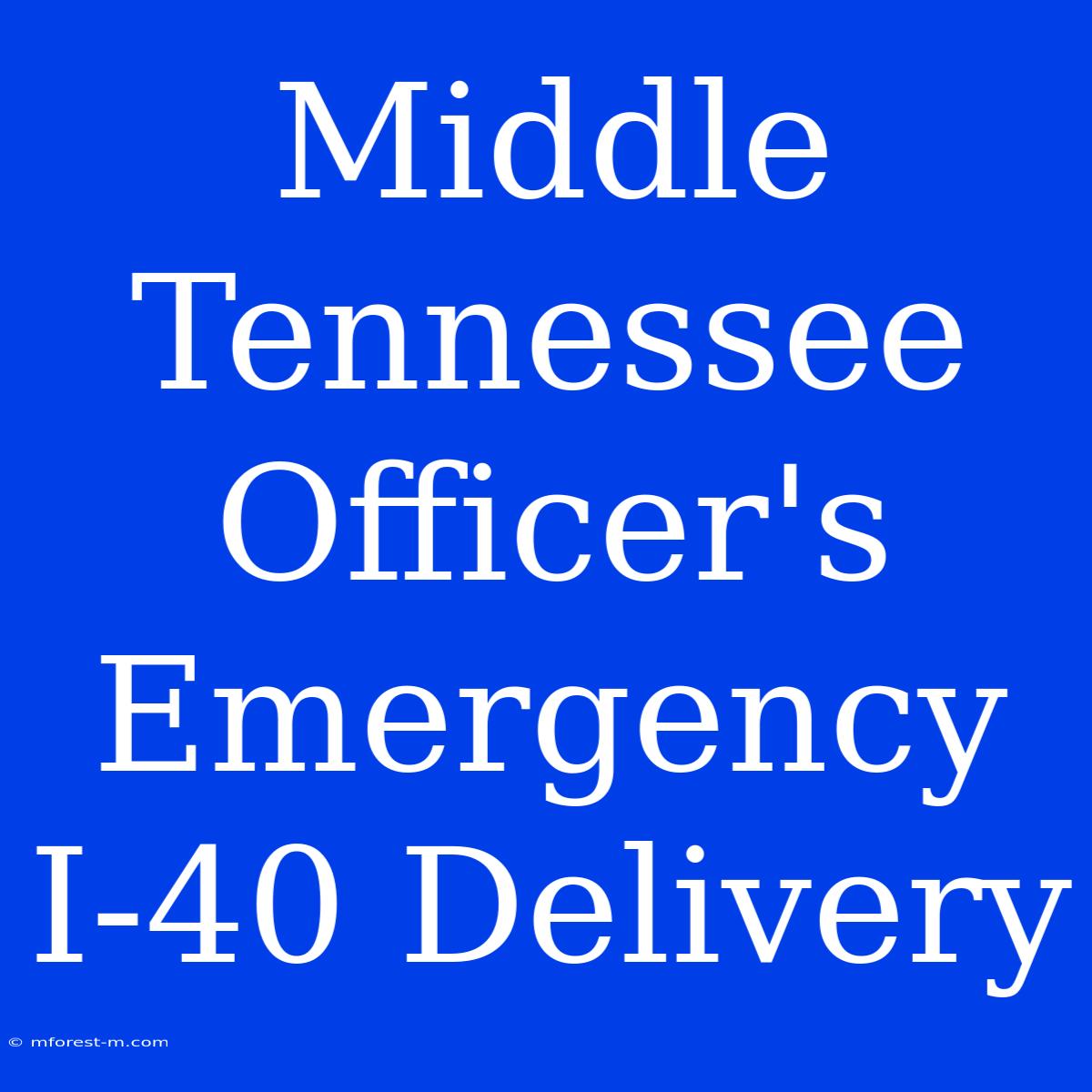 Middle Tennessee Officer's Emergency I-40 Delivery 