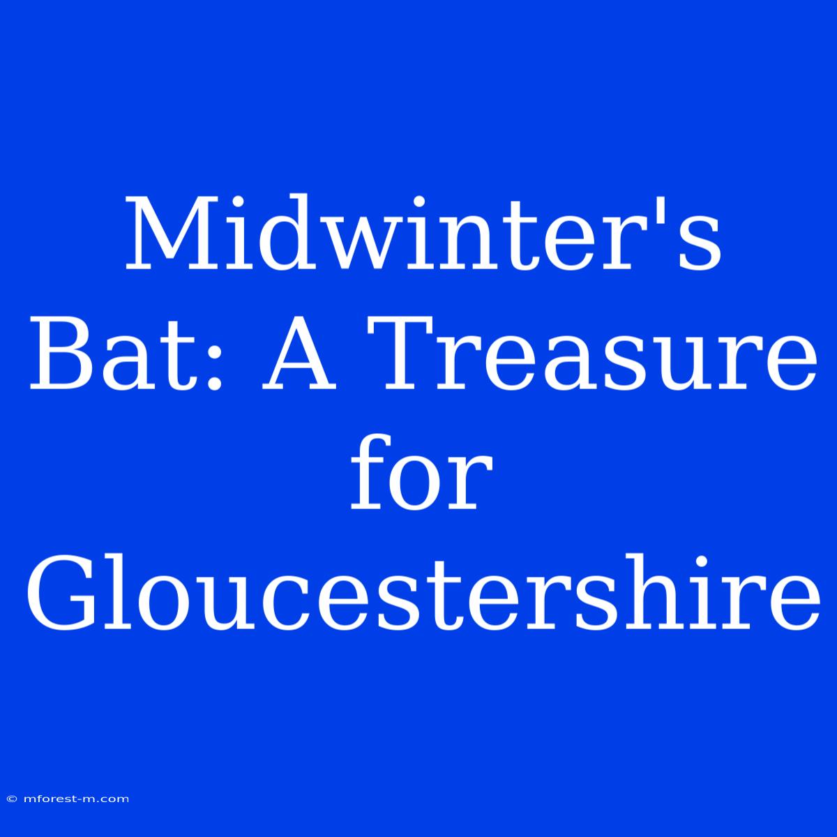 Midwinter's Bat: A Treasure For Gloucestershire