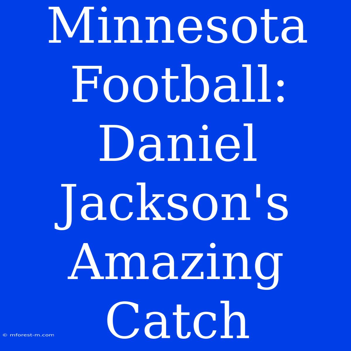 Minnesota Football: Daniel Jackson's Amazing Catch 