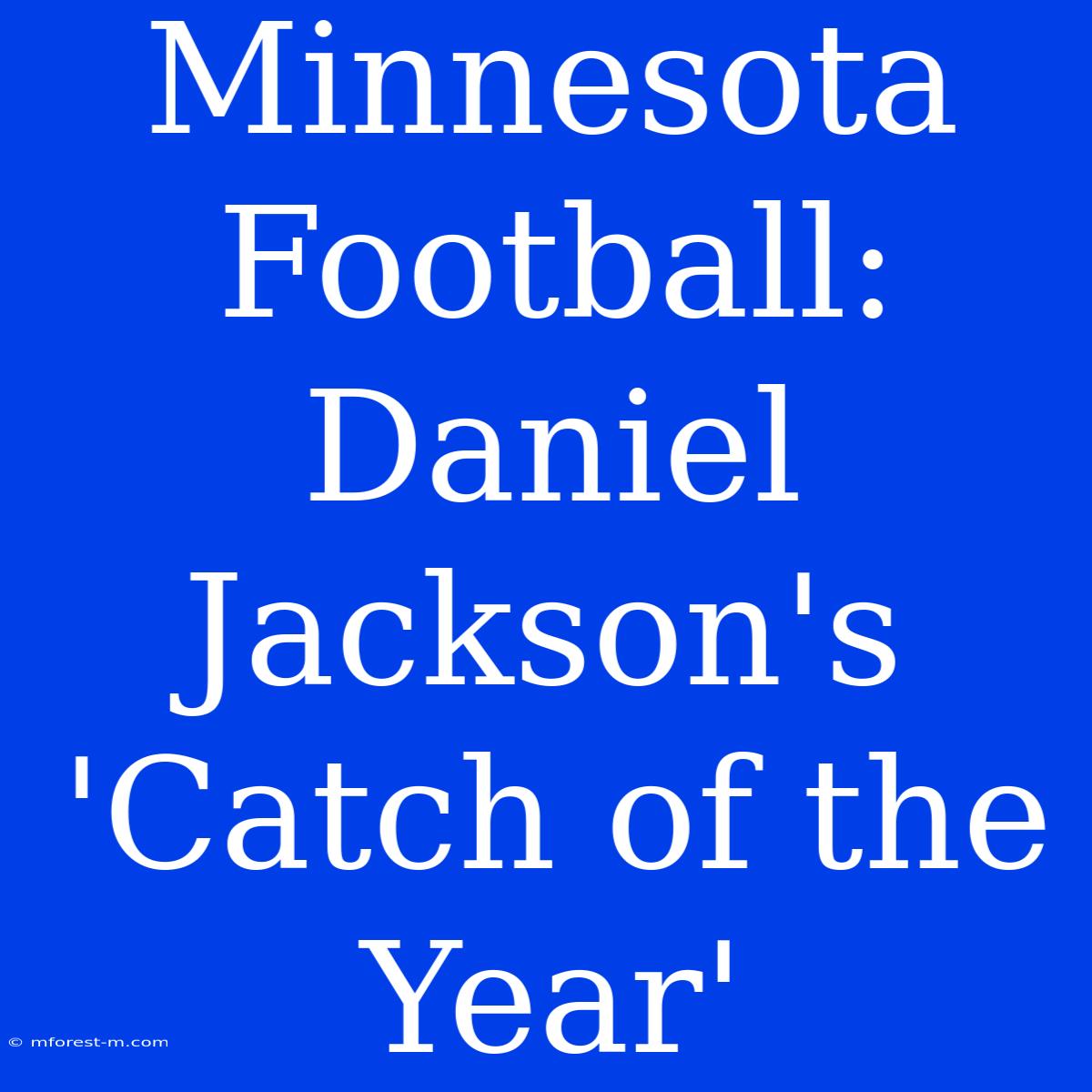 Minnesota Football: Daniel Jackson's 'Catch Of The Year'