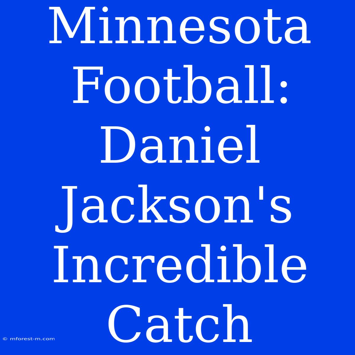 Minnesota Football: Daniel Jackson's Incredible Catch