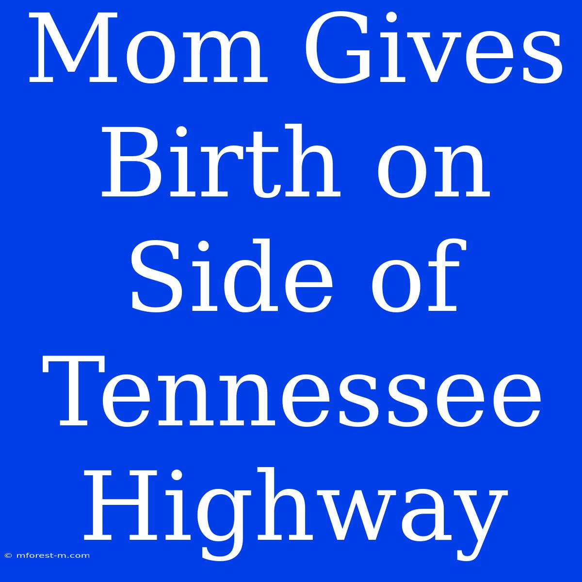 Mom Gives Birth On Side Of Tennessee Highway