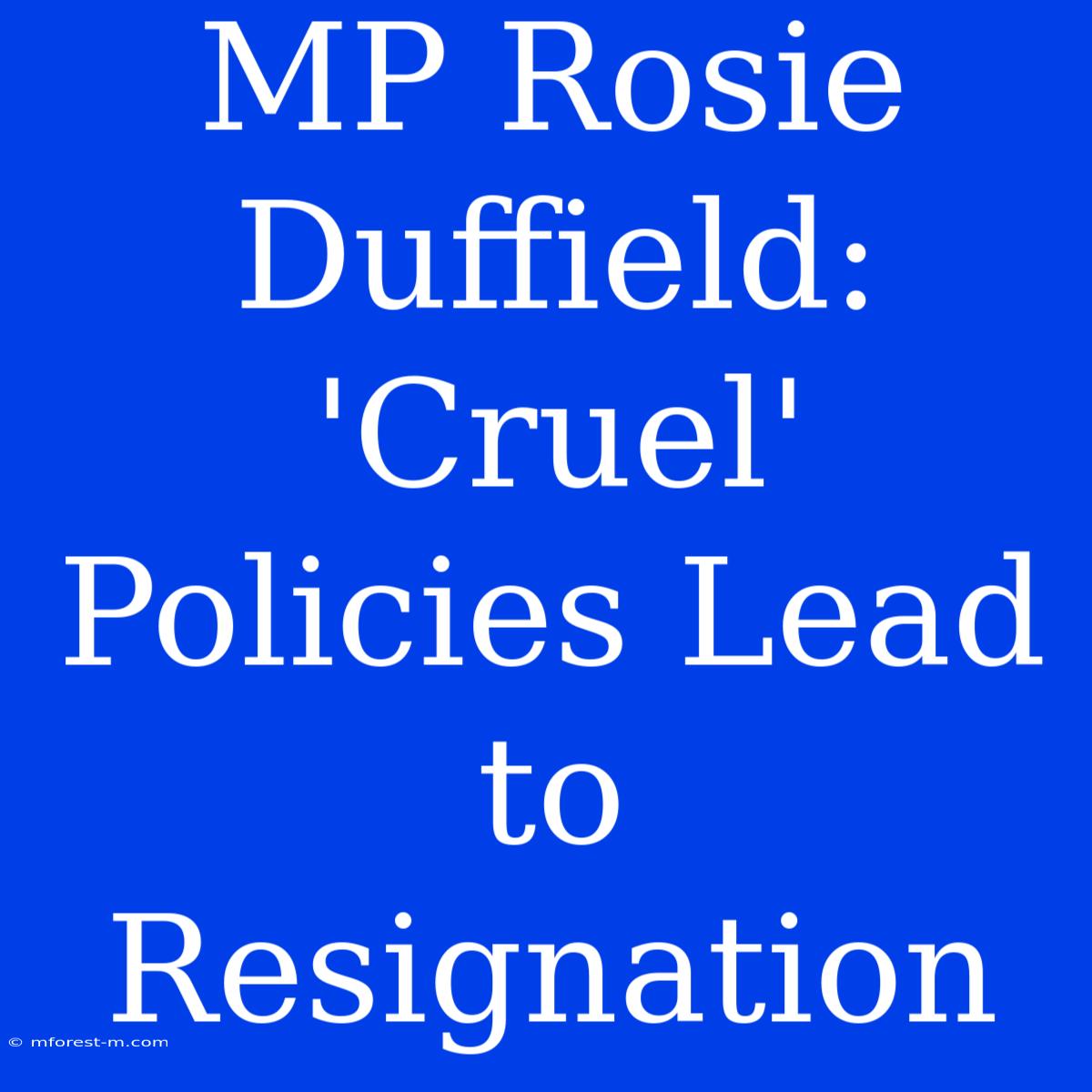 MP Rosie Duffield: 'Cruel' Policies Lead To Resignation 