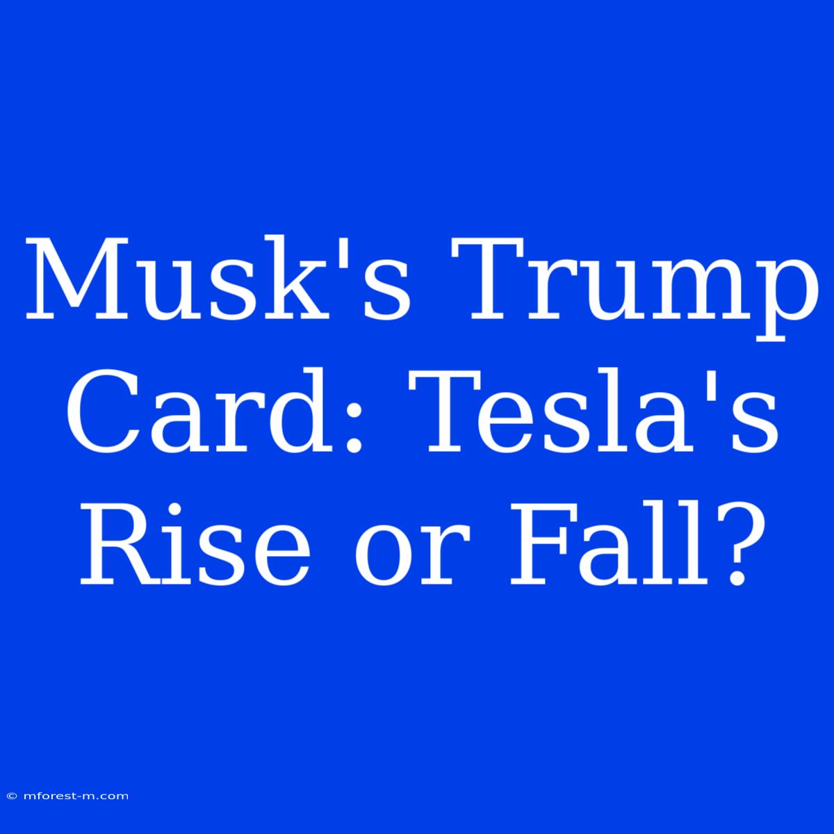 Musk's Trump Card: Tesla's Rise Or Fall?