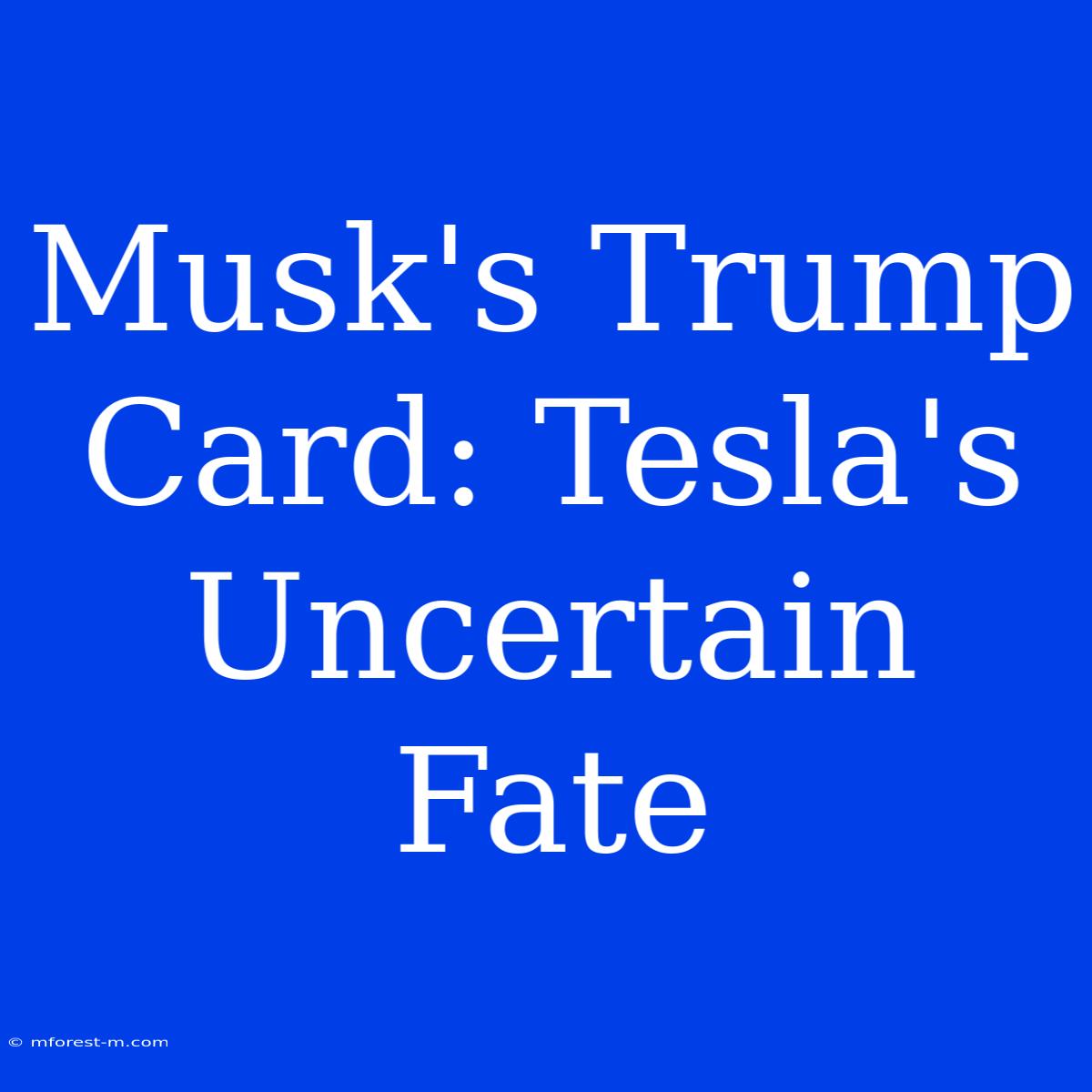 Musk's Trump Card: Tesla's Uncertain Fate