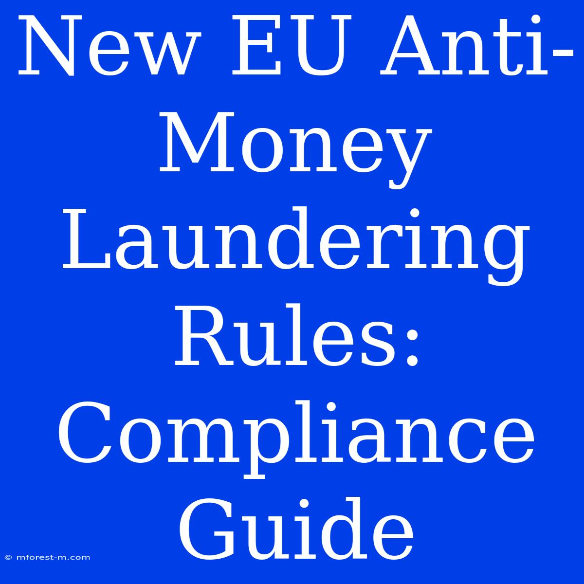 New EU Anti-Money Laundering Rules: Compliance Guide